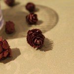 IMG_0552